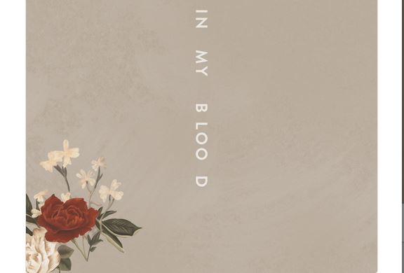 Shawn Mendes, In my blood: testo, traduzione e video ufficiale