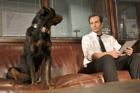 Show Dogs: foto della commedia di Raja Gosnell