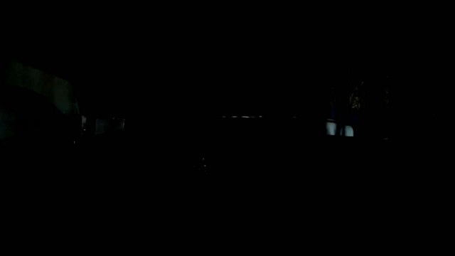 Il-codice-del-babbuino-patrizia.mp4
