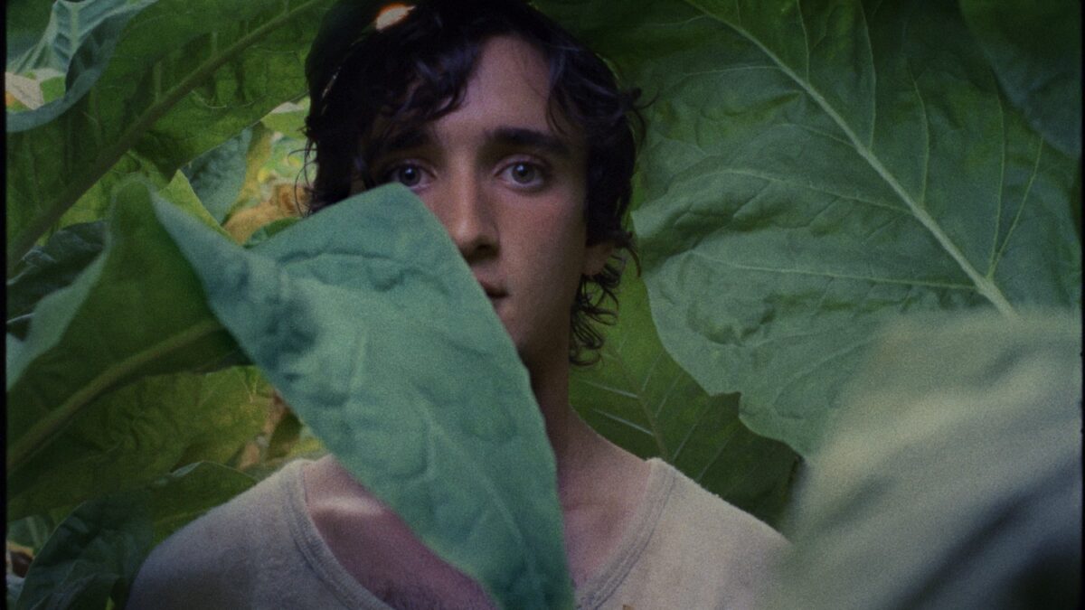 Cannes 2018, Lazzaro felice: recensione del film di Alice Rohrwacher