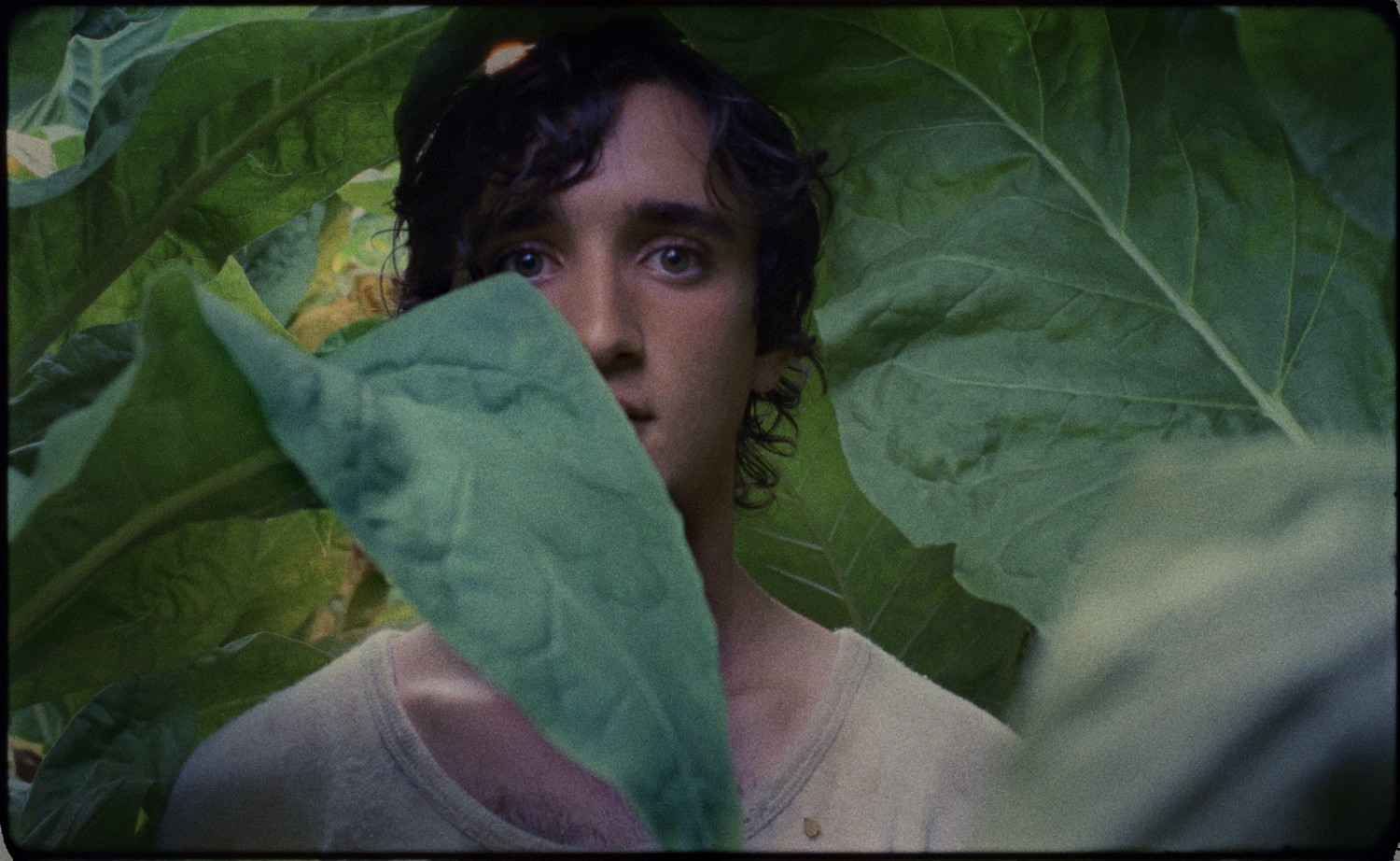 Cannes 2018, Lazzaro felice: recensione del film di Alice Rohrwacher