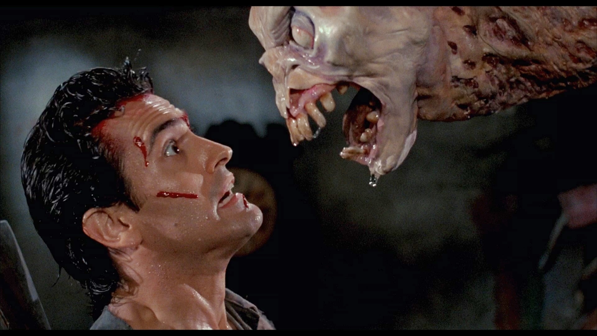 Evil Dead 4: Rob Tapert torna a parlare di un nuovo film