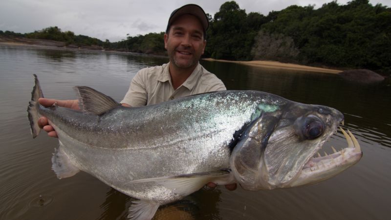 Monster Fish: Pesci Giganti al via questa sera su Alpha