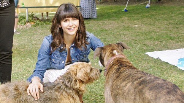 Dog Days: nuova clip in italiano “Appuntamento tra cani”