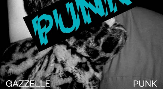 Gazzelle, Punk: il nuovo album esce il 30 novembre 2018 [tracklist]