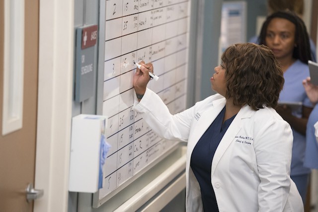 Grey’s anatomy 15