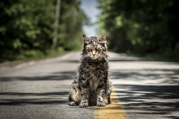 Pet Sematary: poster e foto del remake di “Cimitero Vivente”