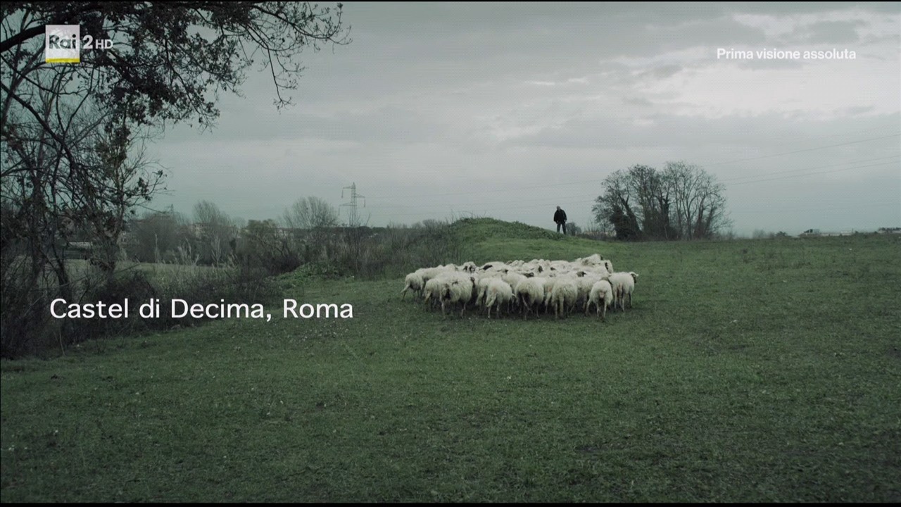 Rocco Schiavone 2, ultima puntata del 7 novembre 2018: Prima che il gallo canti