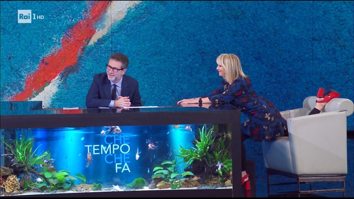 Ascolti tv domenica 25 novembre 2018