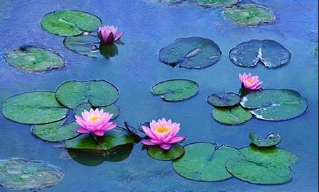 Le Ninfee di Monet: trailer del film documentario evento al cinema dal 26 al 28 novembre