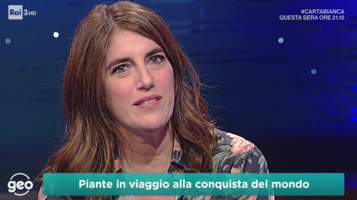 Ascolti tv, storico sorpasso di Geo su La Vita in Diretta