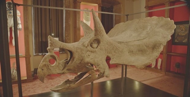 Dinosaurs: foto e poster del documentario di Francesco Invernizzi