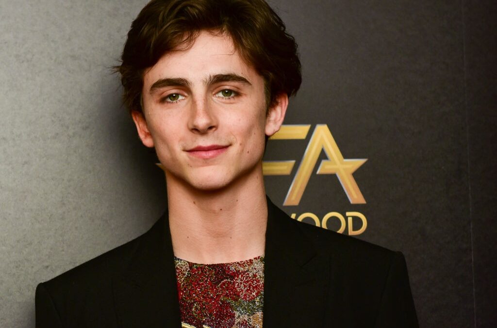 The French Dispatch, Timothée Chalamet e  Benicio del Toro per Wes Anderson
