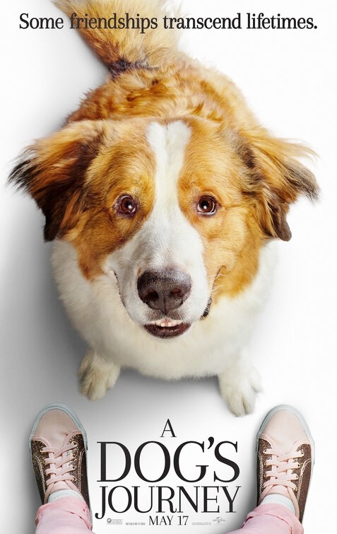A Dog’s Journey: locandine ufficiali del sequel di “Qua la zampa!”
