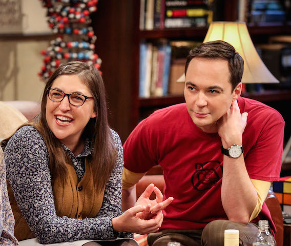 The Big Bang Theory 12