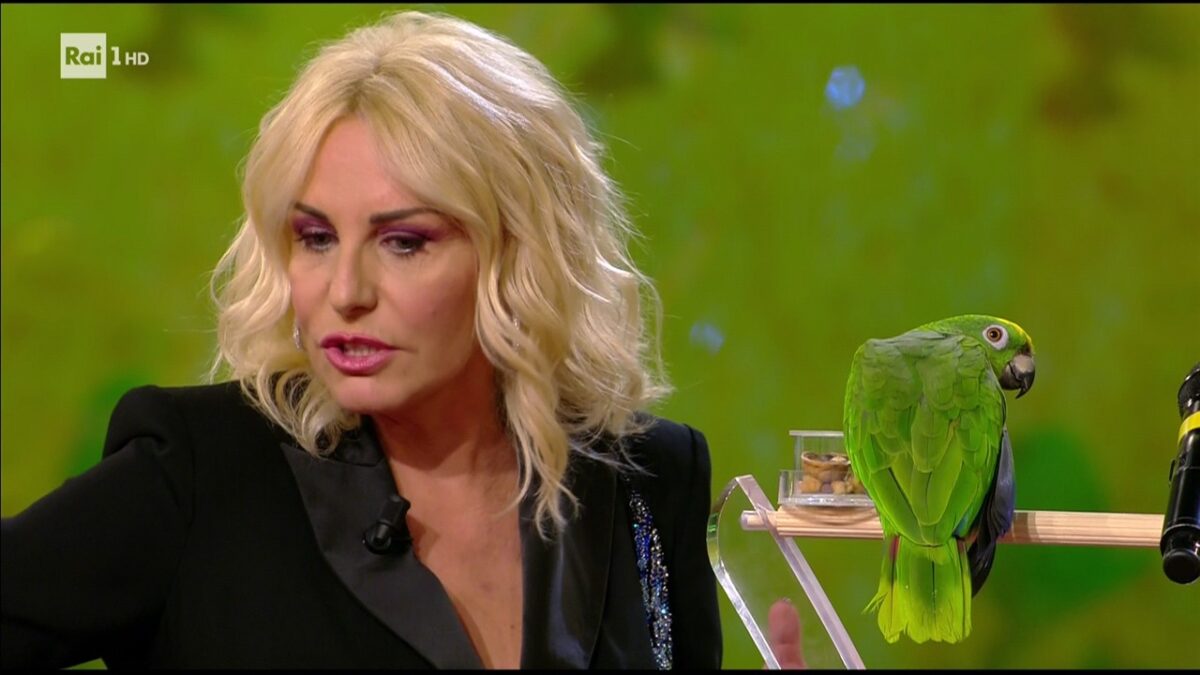 Antonella Clerici: “Portobello? Rifarlo è stato un errore”