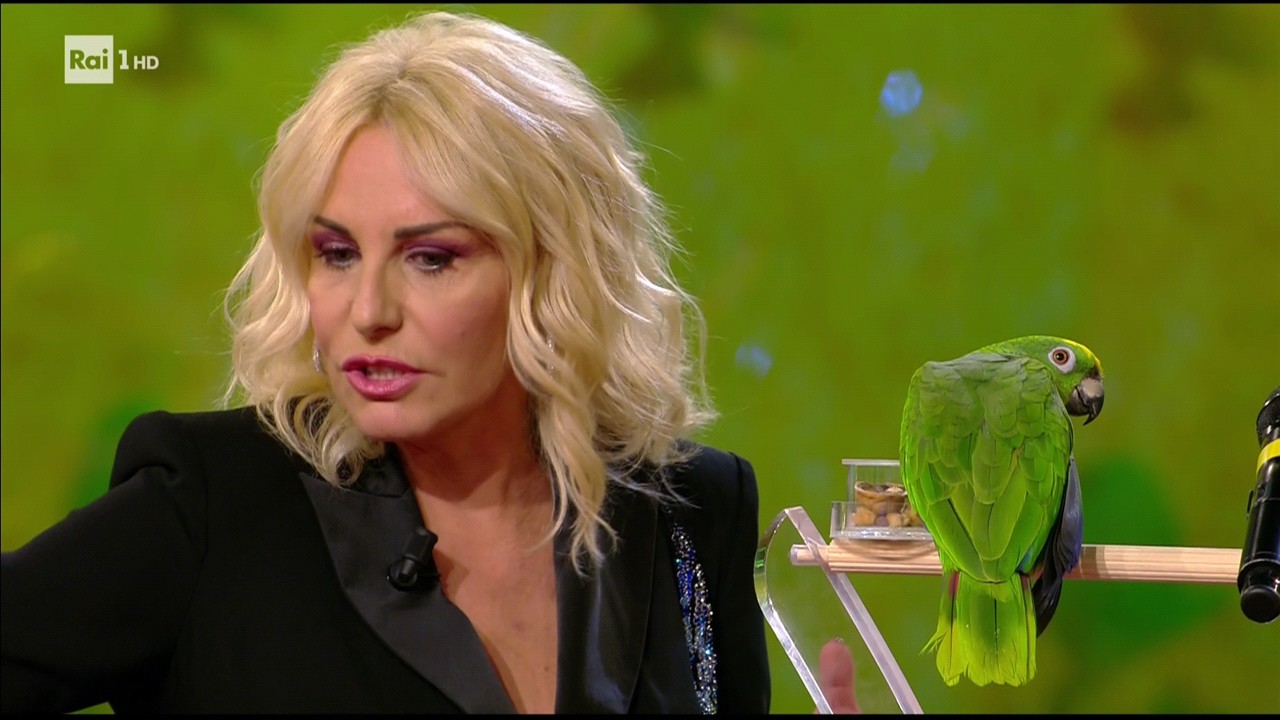 Antonella Clerici: “Portobello? Rifarlo è stato un errore”