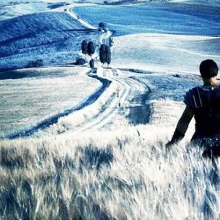 il-gladiatore-in-vendita-la-villa-utilizzata-nel-film-di-ridley-scott-2