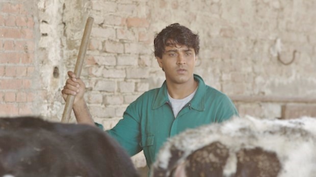 Il Vegetariano: trailer, trama e poster del film di Roberto San Pietro