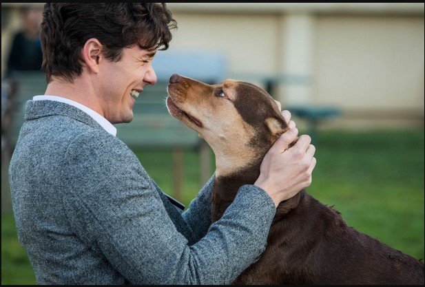 Un Viaggio a Quattro Zampe: nuovo trailer italiano del film “A Dog’s Way Home”