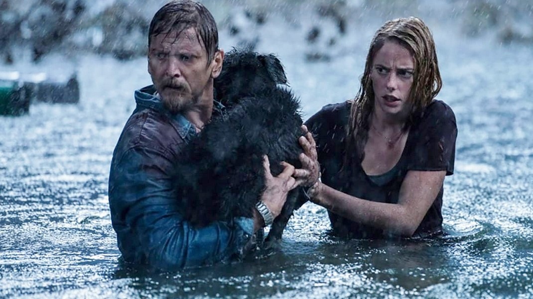 Crawl – Intrappolati: trailer italiano del survival-horror di Alexandre Aja