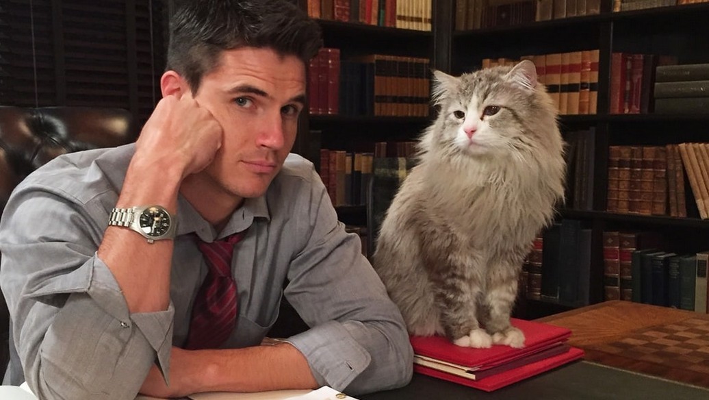 Stasera in tv: “Una vita da gatto” su Canale 5