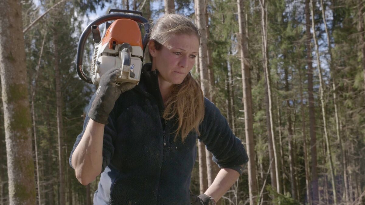Undercut – L’oro di legno, su DMAX le foreste abbattute diventano risorsa tv