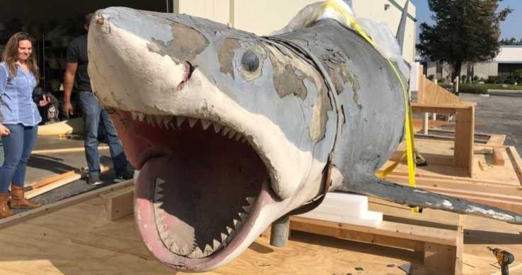 Lo squalo utilizzato nel film di Steven Spielberg restaurato da Greg Nicotero