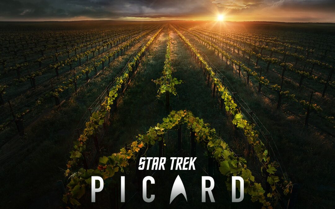 Il trailer di Star Trek: Picard con l’arrivo dei personaggi di Next Generation. Novità per Discovery