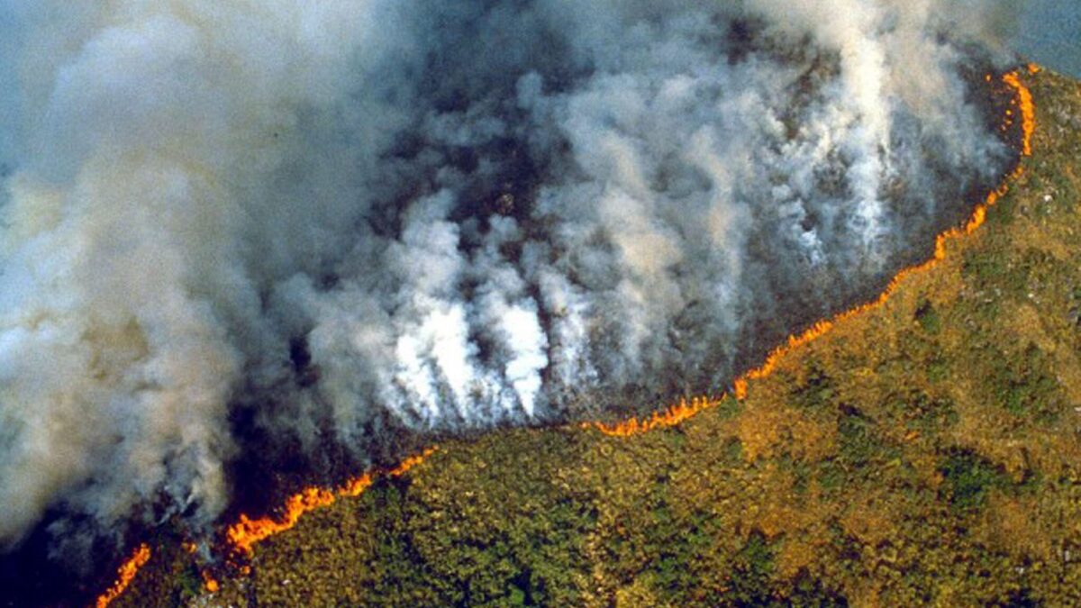 La Foresta Amazzonica è in vendita su Facebook: l’inchiesta della BBC
