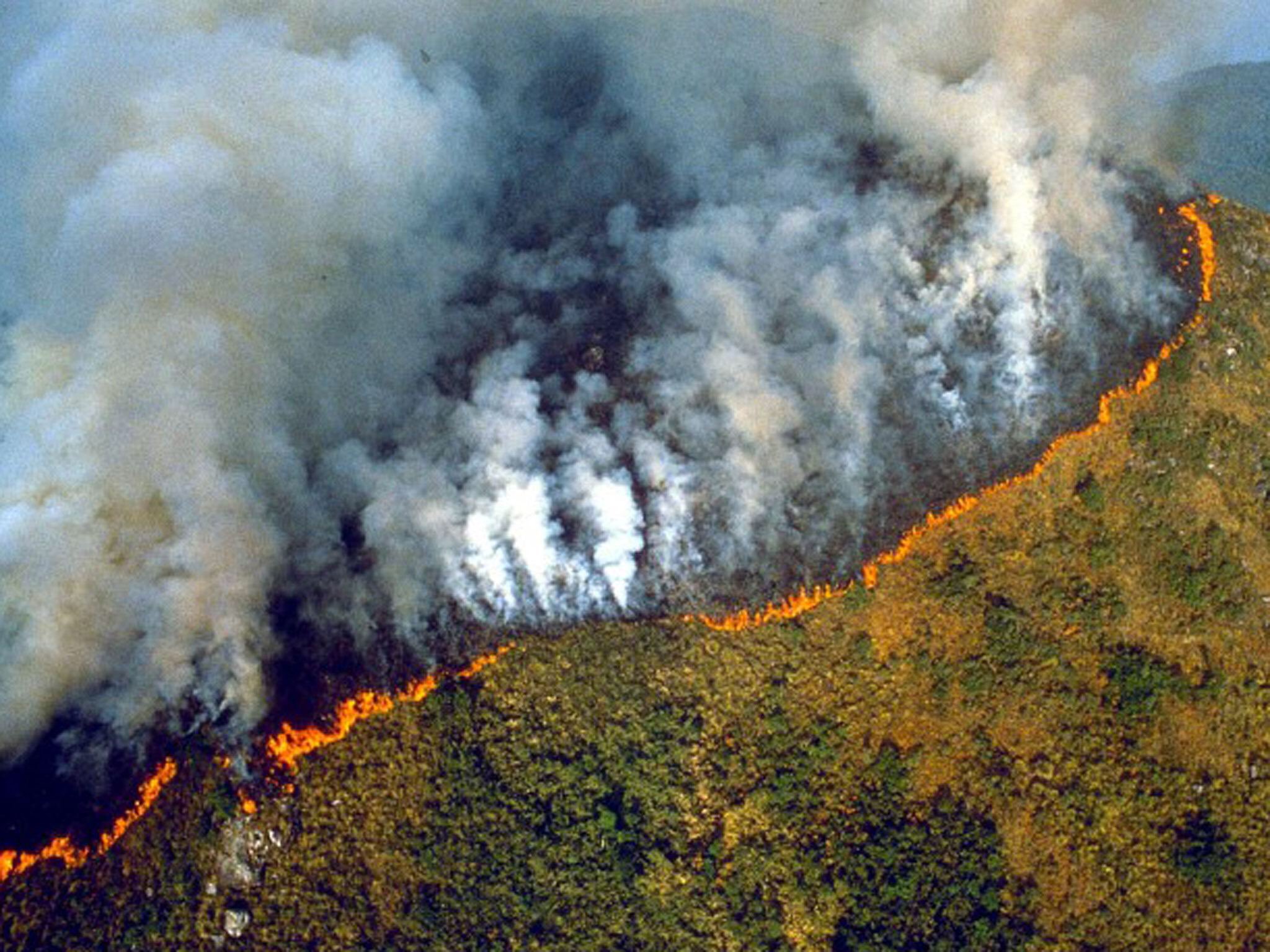 La Foresta Amazzonica è in vendita su Facebook: l’inchiesta della BBC