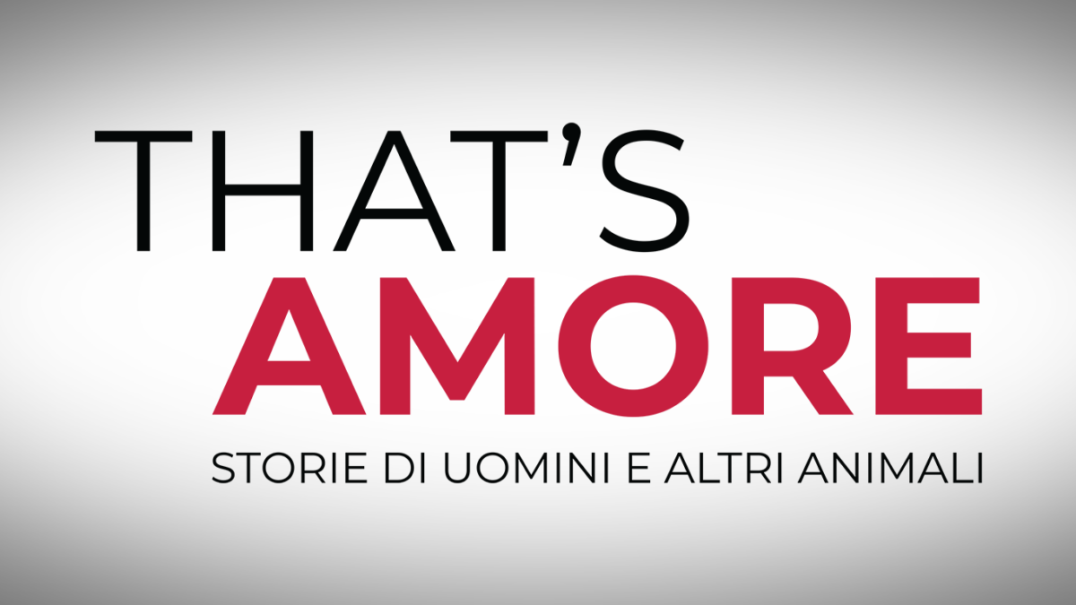 That’s amore, Duccio Forzano: “Un racconto emozionante, nel bene e nel male”