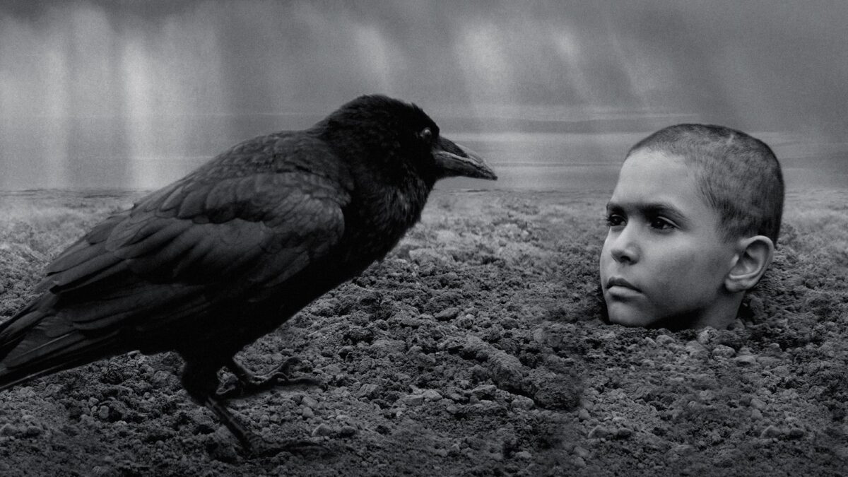 Venezia 2019, The Painted Bird di Václav Marhoul, recensione – l’orrore della guerra attraverso gli occhi di un bambino