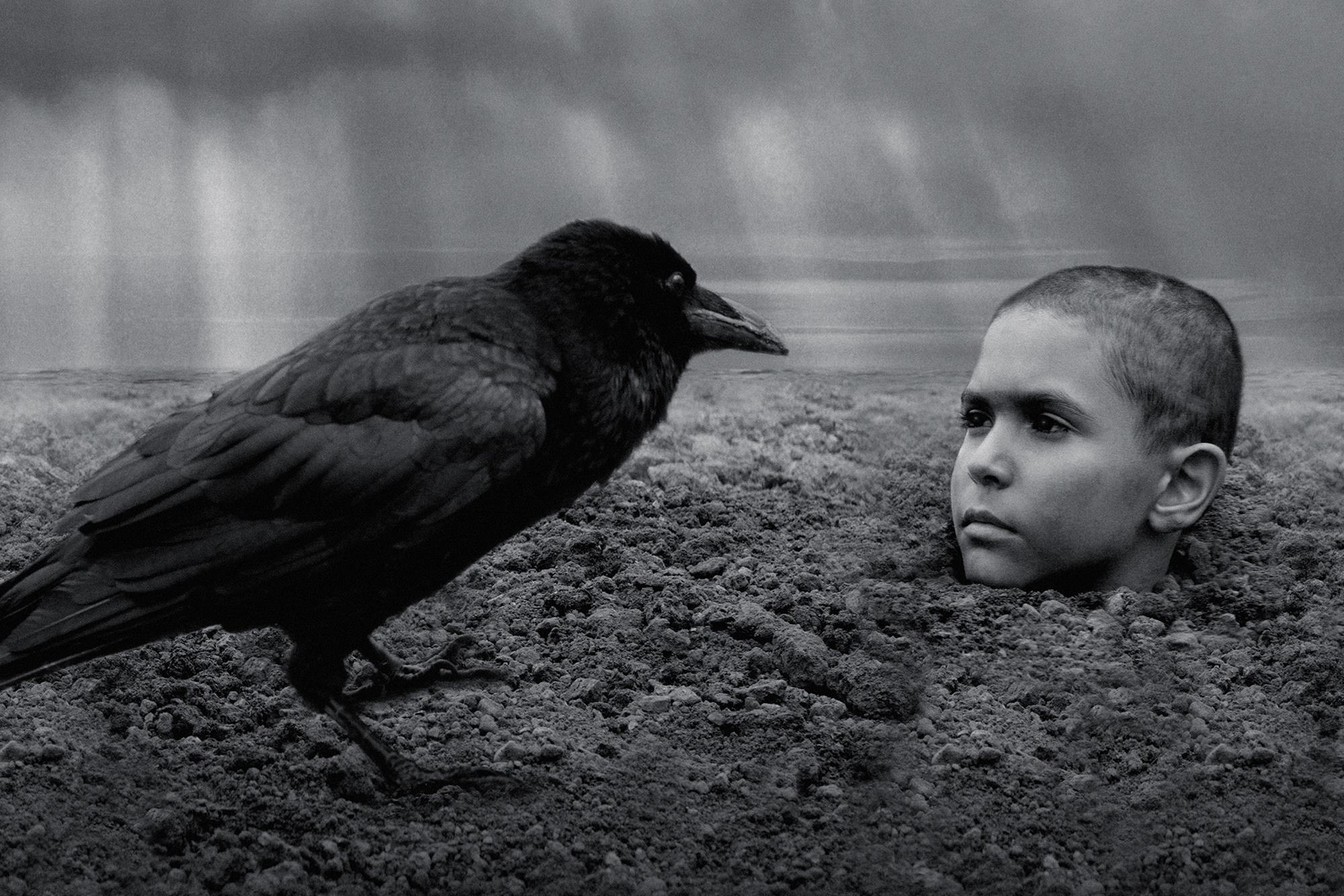 Venezia 2019, The Painted Bird di Václav Marhoul, recensione – l’orrore della guerra attraverso gli occhi di un bambino