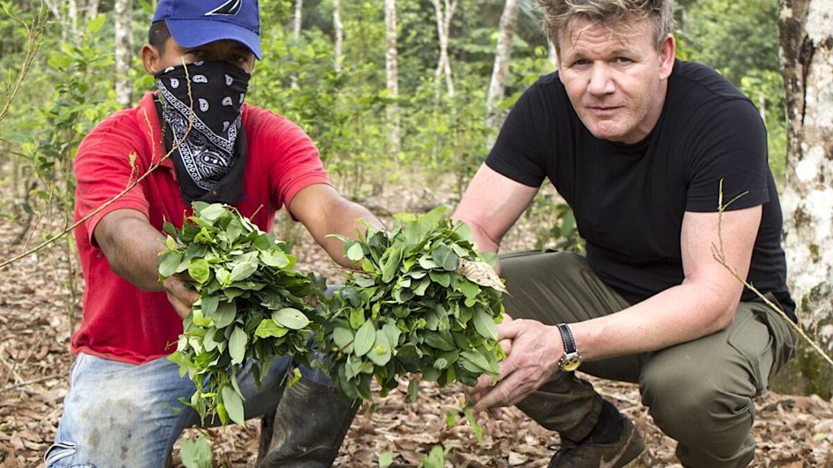 Cocaina al Ristorante, Gordon Ramsay racconta il lato oscuro degli chef