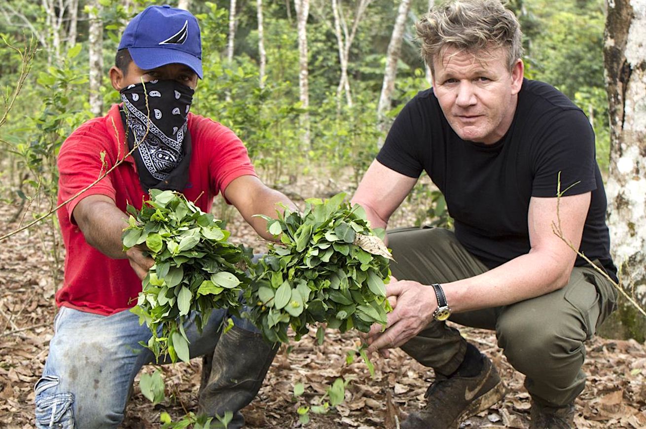 Gordon Ramsay Cocaina al Ristorante su Nove: il promo
