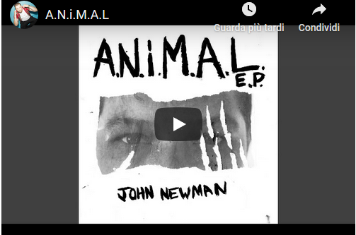 John Newman, A.N.i.M.A.L: testo, traduzione e audio