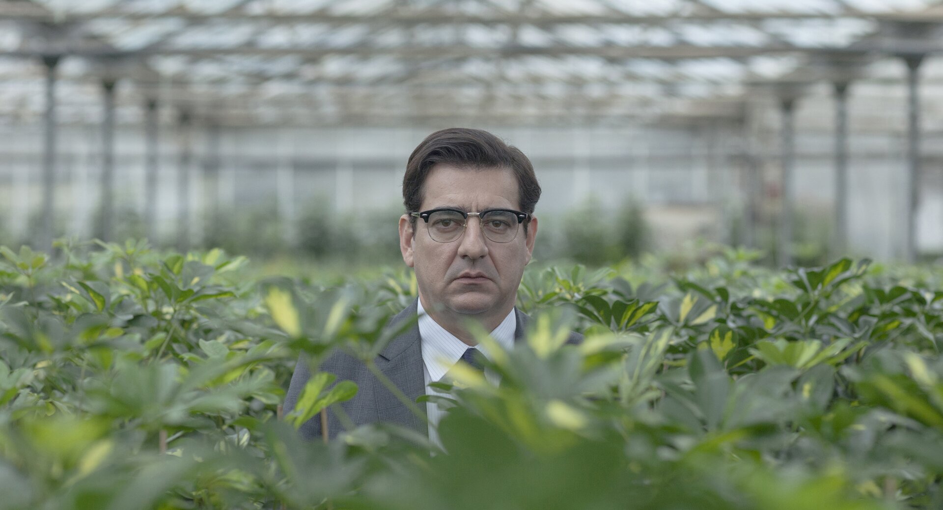 Miserere, trailer e poster italiano del film di Babis Makridis
