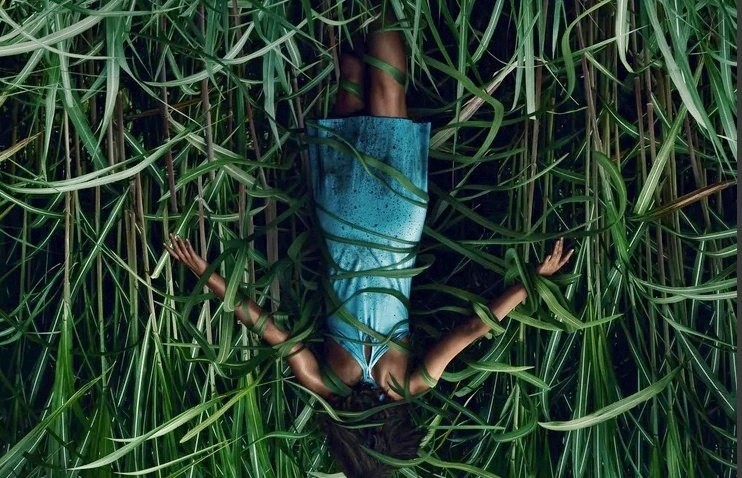 Nell’erba alta: trailer italiano del film horror basato sul romanzo di Stephen King e Joe Hill