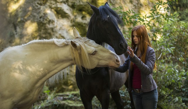 Ascolti tv mercoledì 4 settembre 2019