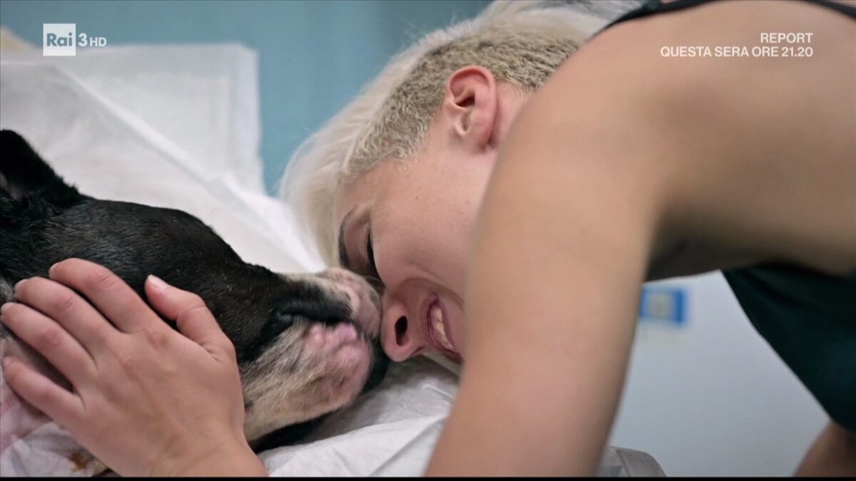 That’s Amore, un vortice di storie tra uomini e altri animali