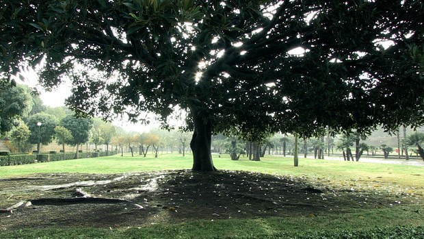Roma 2019, La Villa: il documentario sul parco di Scampia in anteprima ad Alice nella Città