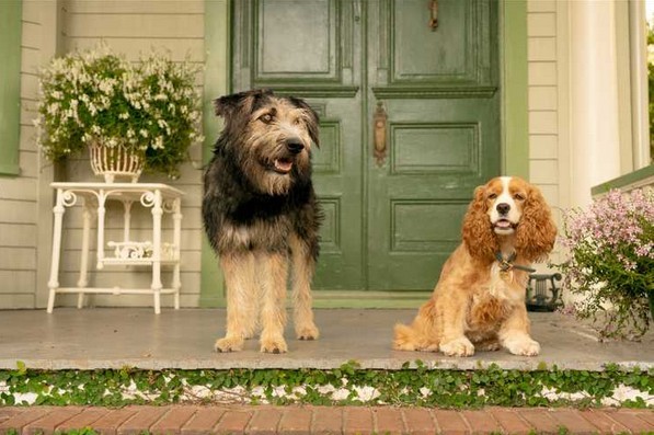 Lilli e il vagabondo: nuovo trailer del remake live-action Disney