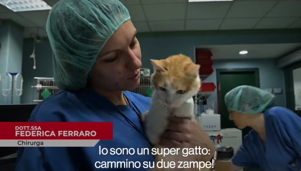 That’s Amore su Rai 3, anticipazioni prima puntata: il gatto Monky