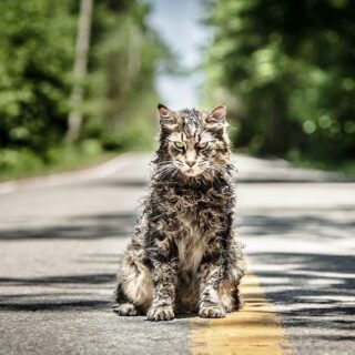 pet-sematary-foto-e-locandine-del-remake-di-cimitero-vivente-1