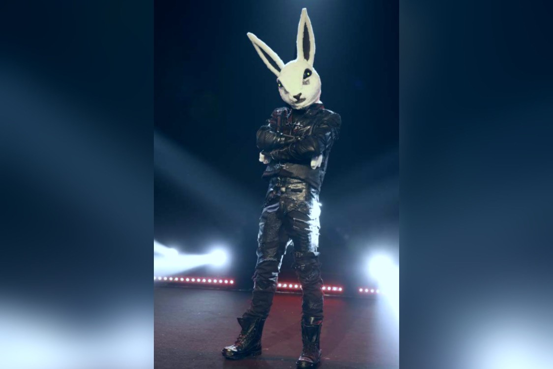 Il Cantante Mascherato, chi è Coniglio?