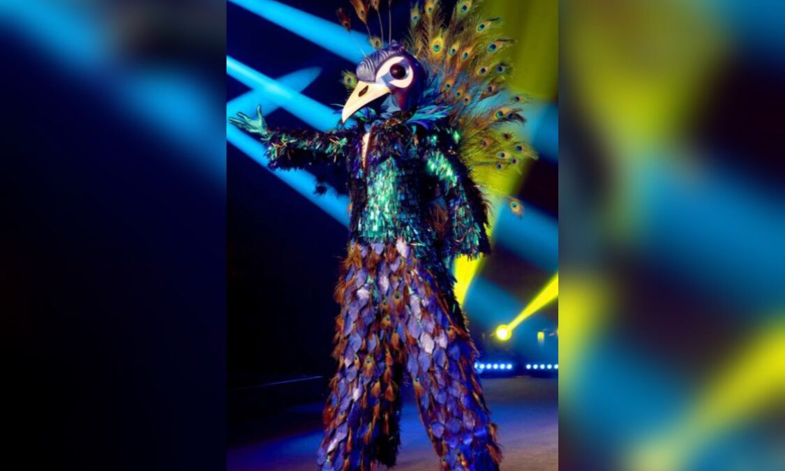 Il Cantante Mascherato, chi è Pavone?
