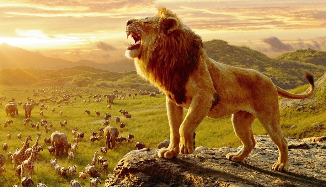 “Box Office Italia 2019, Il Re Leone batte tutti – Top 10