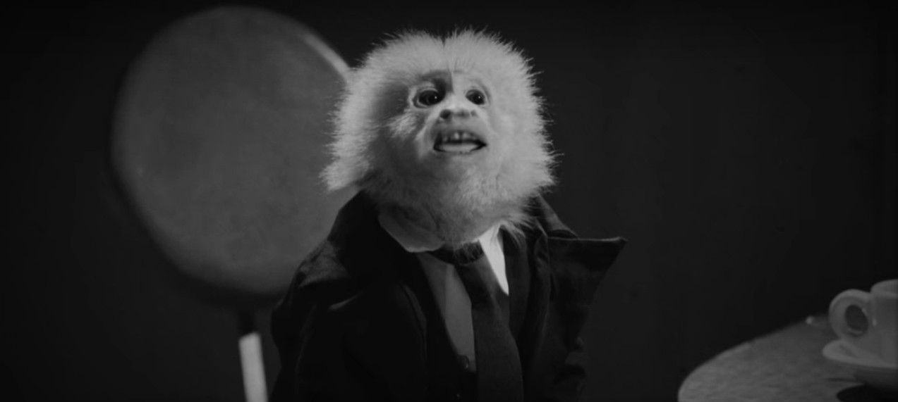 What Did Jack Do? – recensione, David Lynch interroga sé stesso nei panni di una scimmietta