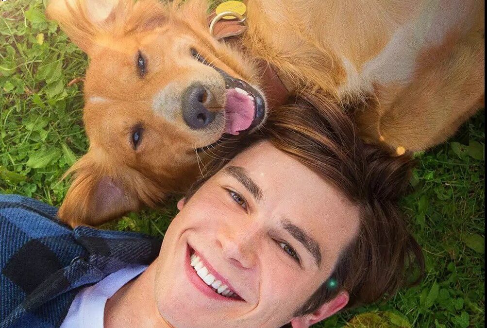 Stasera in tv: “Qua la zampa” su Canale 5